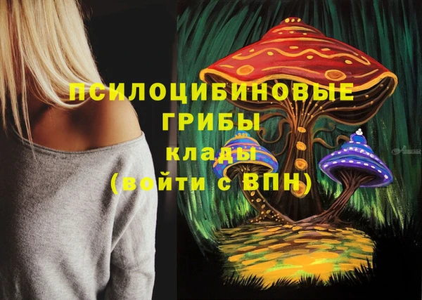 спайс Вяземский