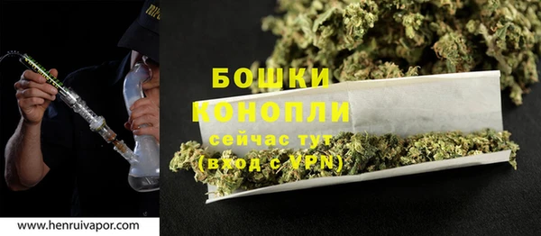 спайс Вяземский