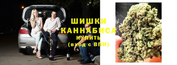 спайс Вяземский