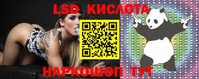 apvp Краснодар