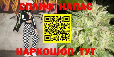 apvp Краснодар