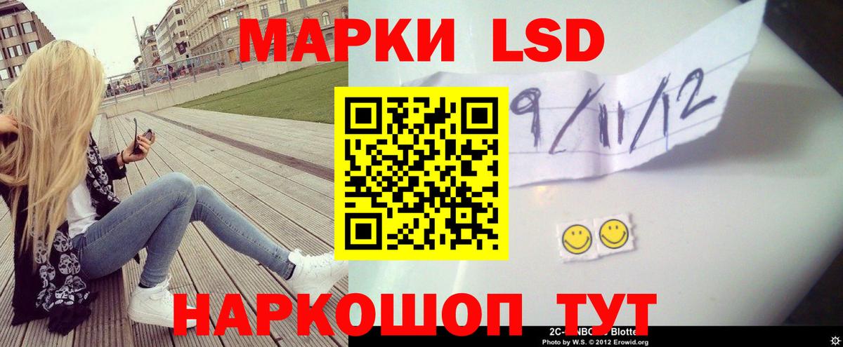 omg как войти  Вход с VPN  Железногорск  Лсд 25 экстази кислота  Лсд 25 экстази кислота 