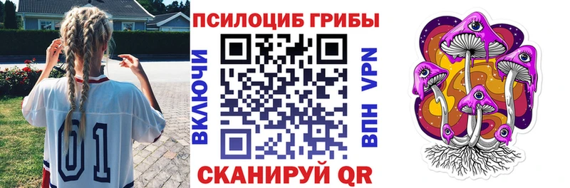 Псилоцибиновые грибы мицелий Железногорск