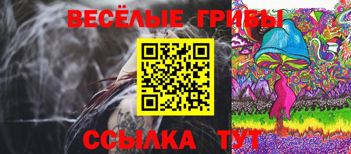 Железногорск  Галлюциногенные грибы Cubensis  Вход с VPN 